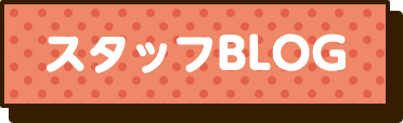 スタッフBLOG