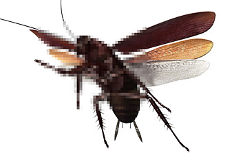 EP00 「Black Antenna」/project trailer